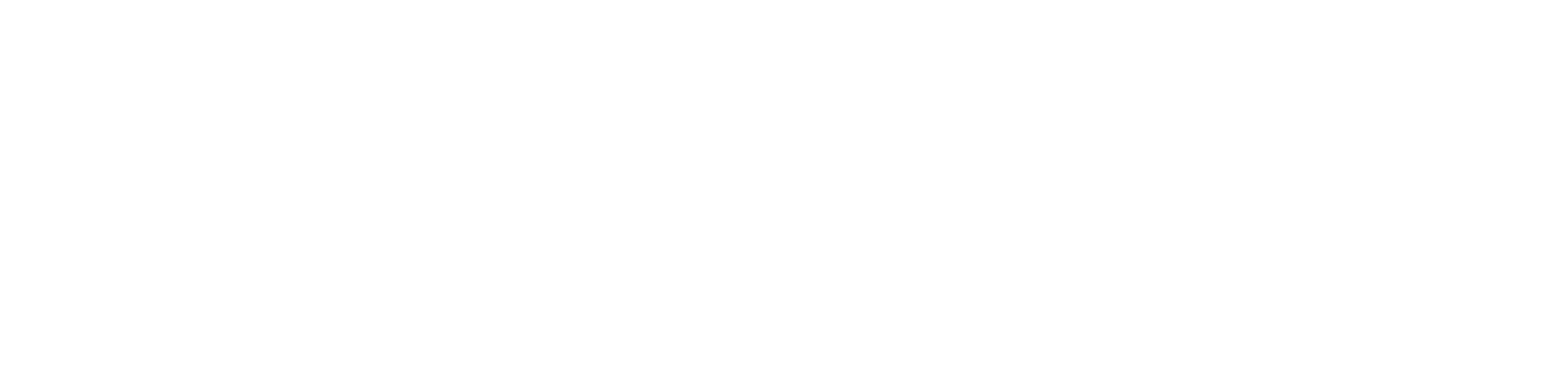 SE Sport Logo White